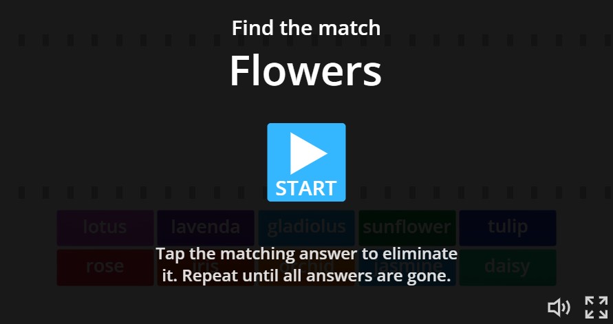 Flowers Vocabulary Online Game - English Free Online Grammar Lessons